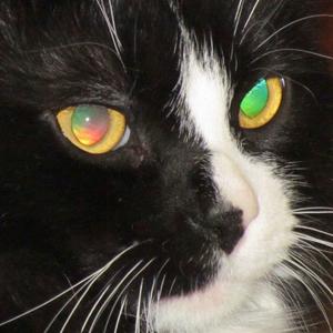 赵小雷 - 大展宏图（伴奏）