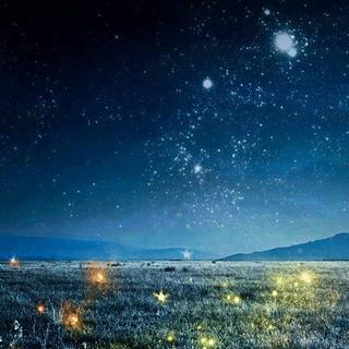 纯丶电音合集