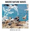 Familiar Waves Nature Music - Village Desert Park