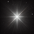 StarKnight歌手图片