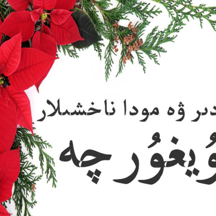 - konup kaptiman丨كۈنۈپ قاپتىمەن