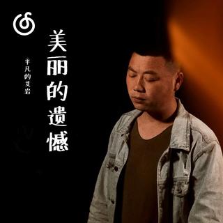 不羁烟嗓精选|从《美丽的遗憾》听起