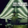 High Flying Birds(Deluxe Version)