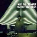 High Flying Birds(Deluxe Version)专辑
