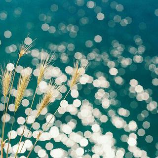 about love with happiness