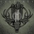 Vultures