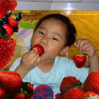 粵語小众 | 最紧要噶係开心啦BB