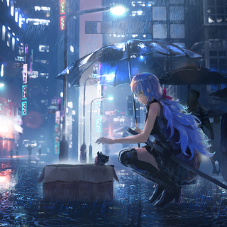 柠檬薄荷｜雨天的猫与少女