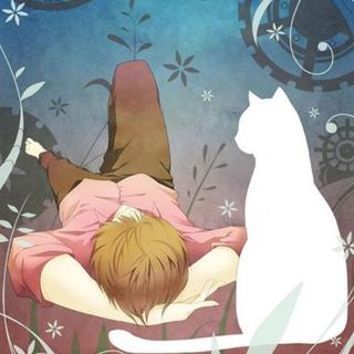 少年与他们所养的名唤温柔的猫