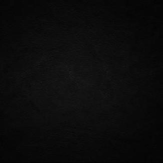 一刹那栩栩缕影浮光映宫阙