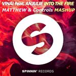 Into The Fire vs Kicking It Hard(Mashup)专辑