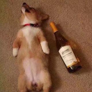 生命不息 抖腿不止