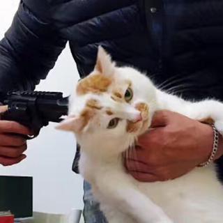 不好听