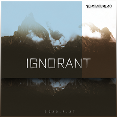 Ignorant(Original Mix)