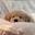 Alris-