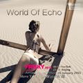 World of Echo Ⅱ (2015 New Year Mix)