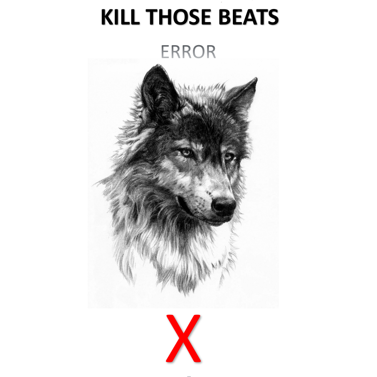 Kill Those Beats专辑