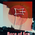 BORN OF FIRE（浴火重生）