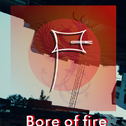 BORN OF FIRE（浴火重生）专辑