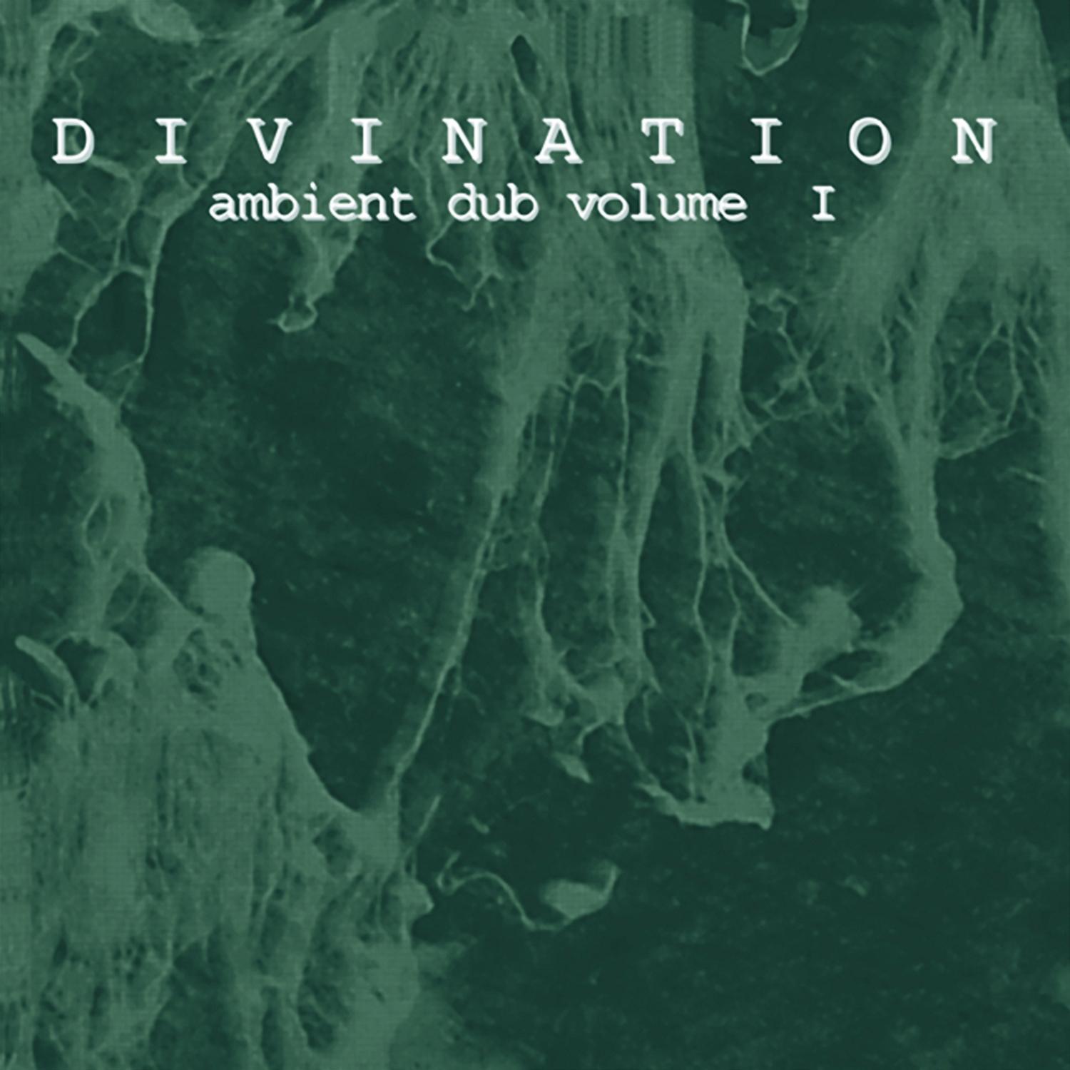 Ambient Dub vol I