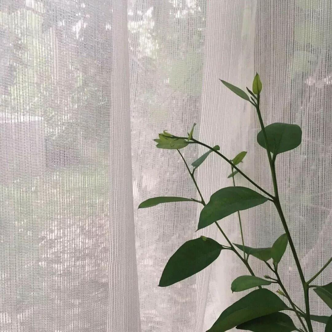 不吃耳机嘘歌曲封面