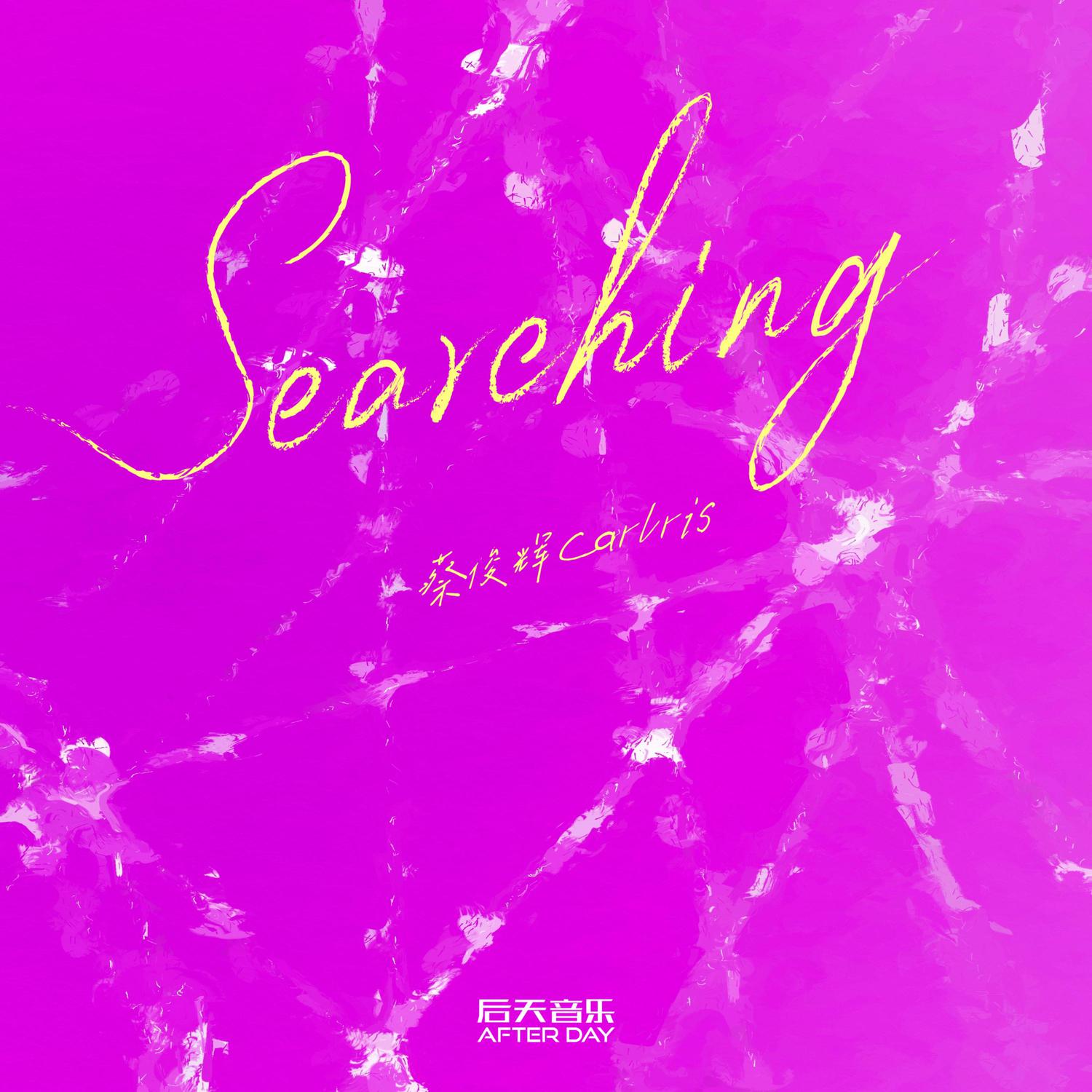 Searching专辑