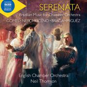 Sonata for Strings in D Major (version for string orchestra):III. Largo