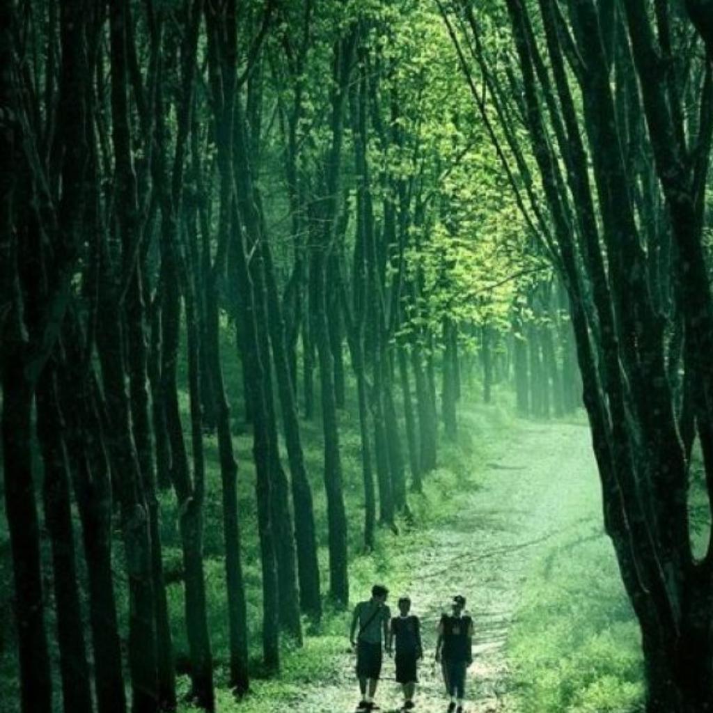 Walking green. Rarindra Prakarsa.