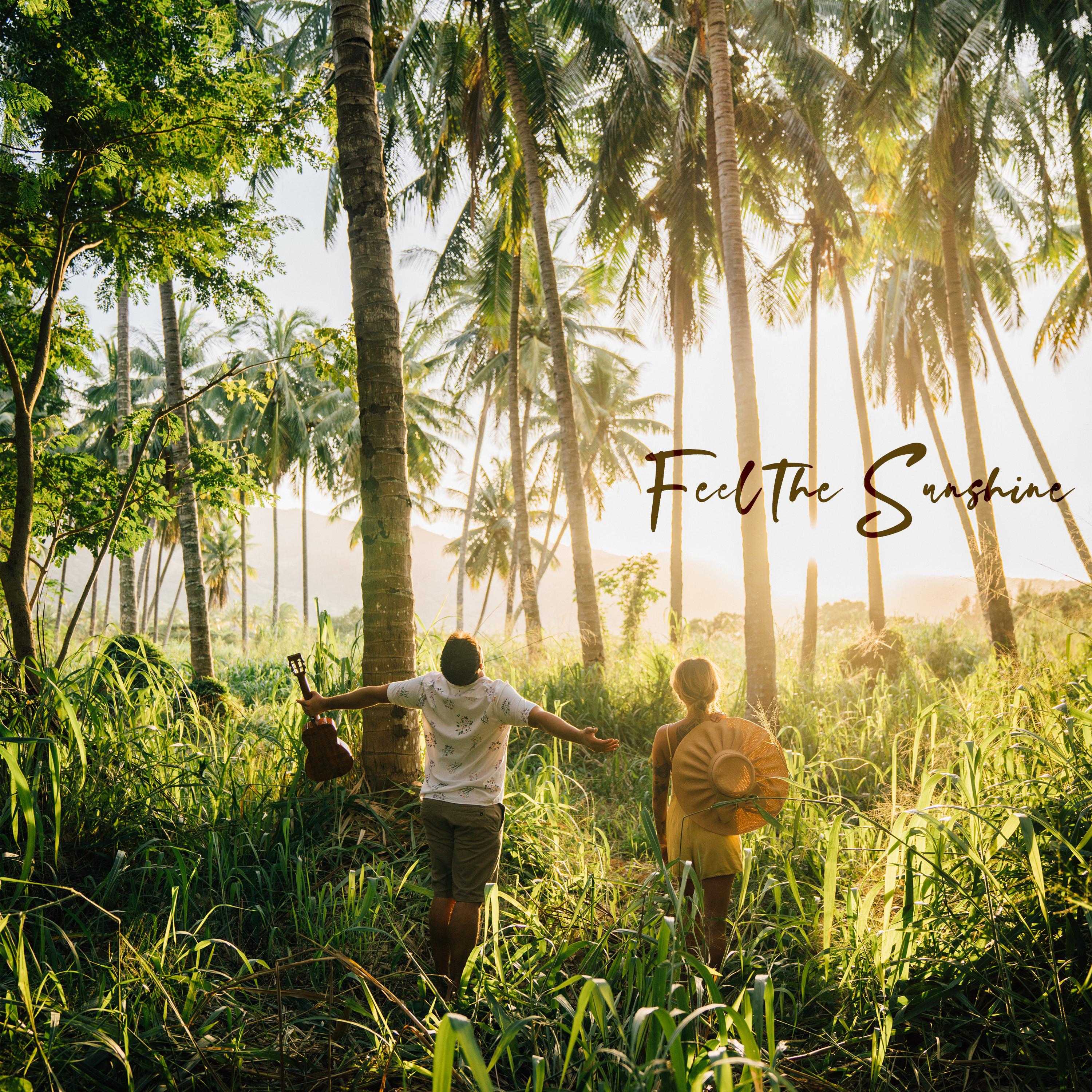 Feel the Sunshine