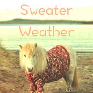 Sweater Weather (Max & Alyson Stoner Cover) (oXu Remix)专辑