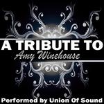 A Tribute to Amy Winehouse专辑