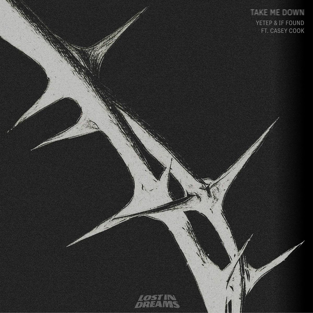 Take Me Down (feat. Casey Cook)