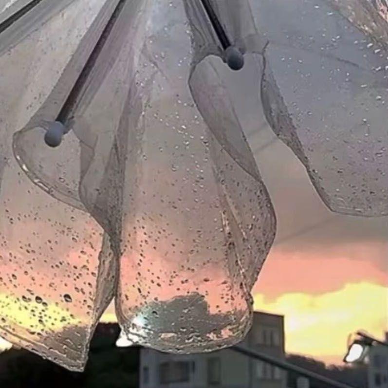 好运来