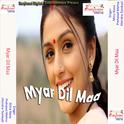 Myar Dil Maa专辑