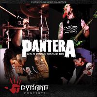 Pantera - War Nerve (unofficial Instrumental)