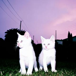 中西部独立数学』日系盯摇贝斯鼓手爱跳舞？