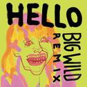 Hello (Big Wild Remix)专辑
