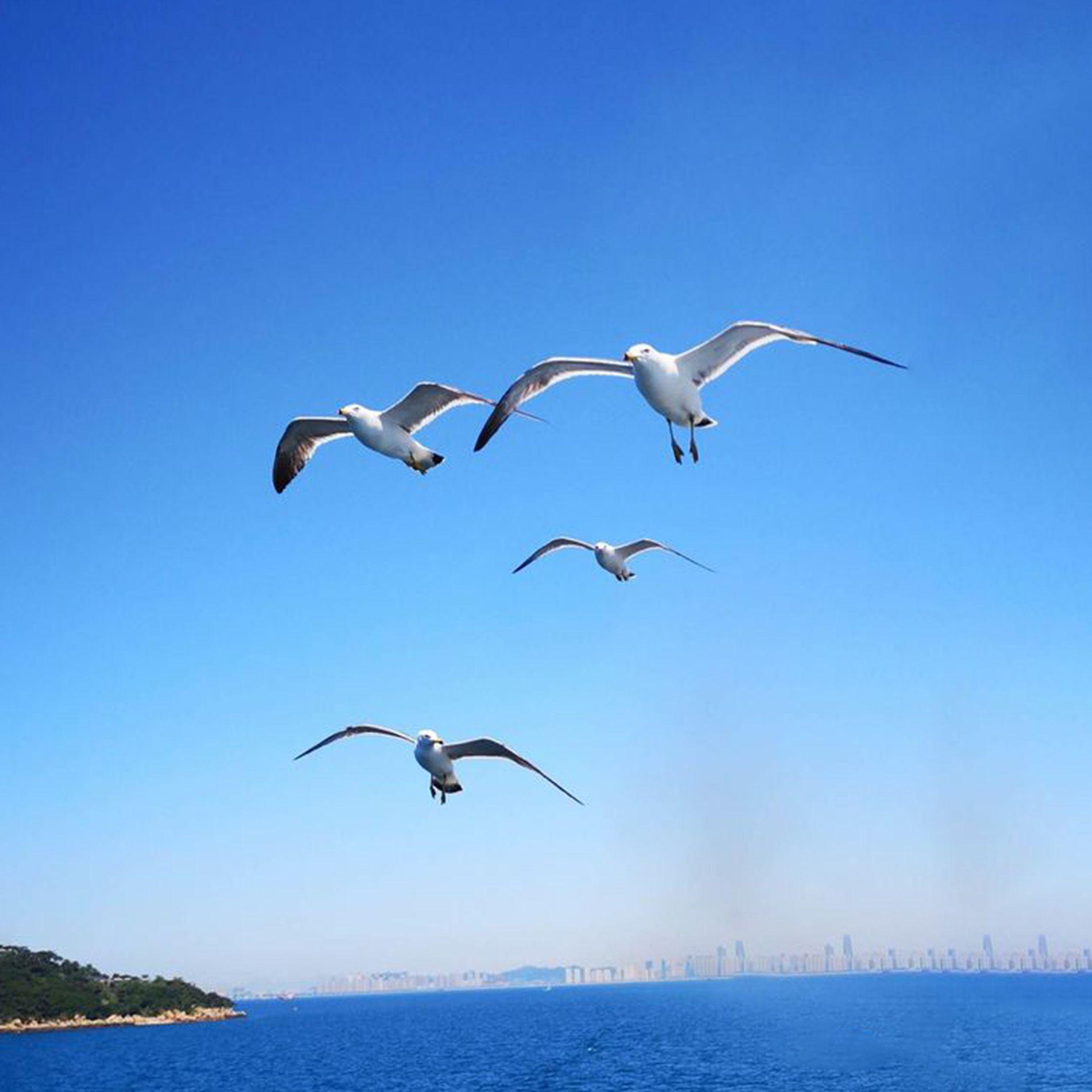 柳州竹林太空
