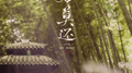 君莫还专辑