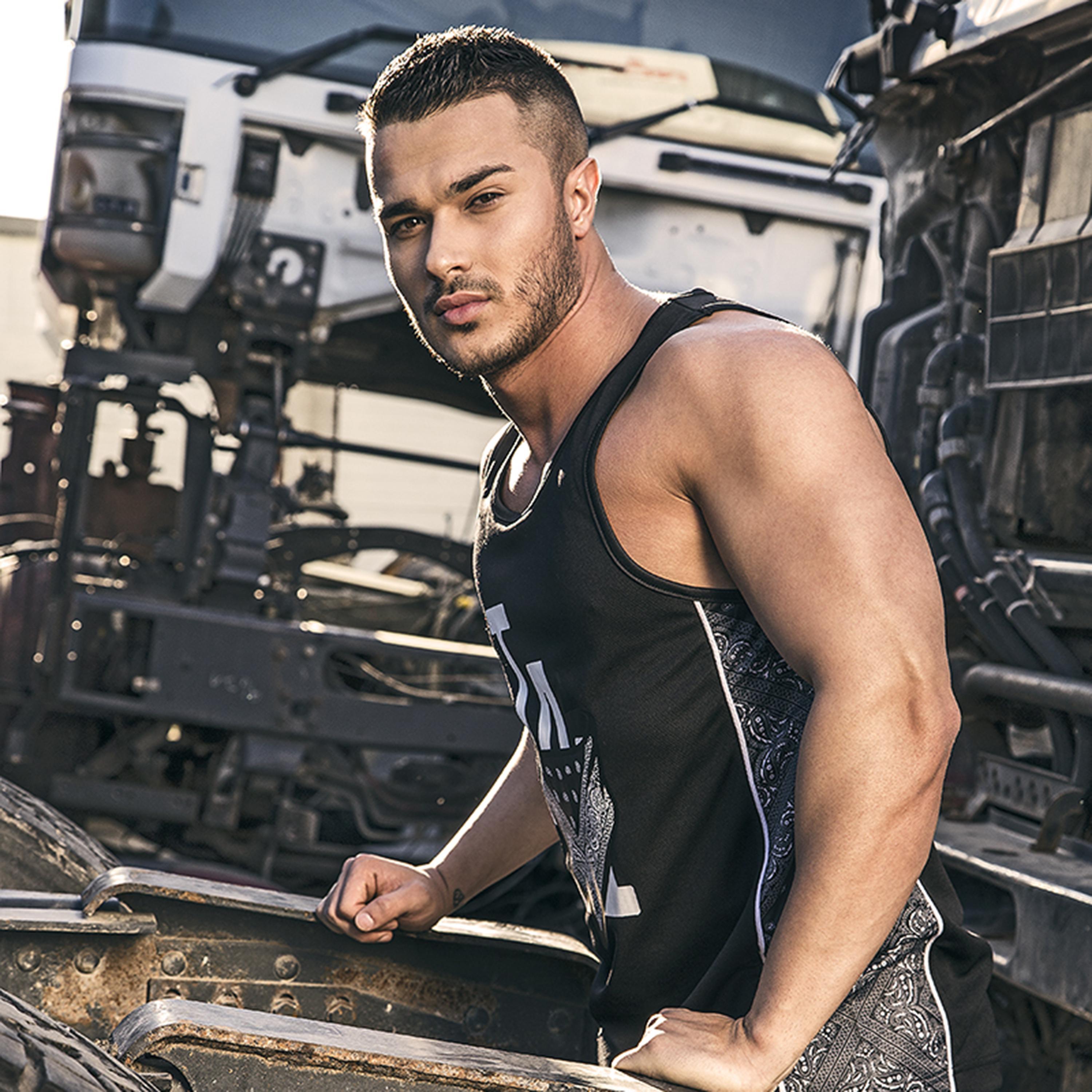 Готина кола