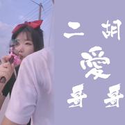 【二胡】我只会心疼哥哥（翻自 无）