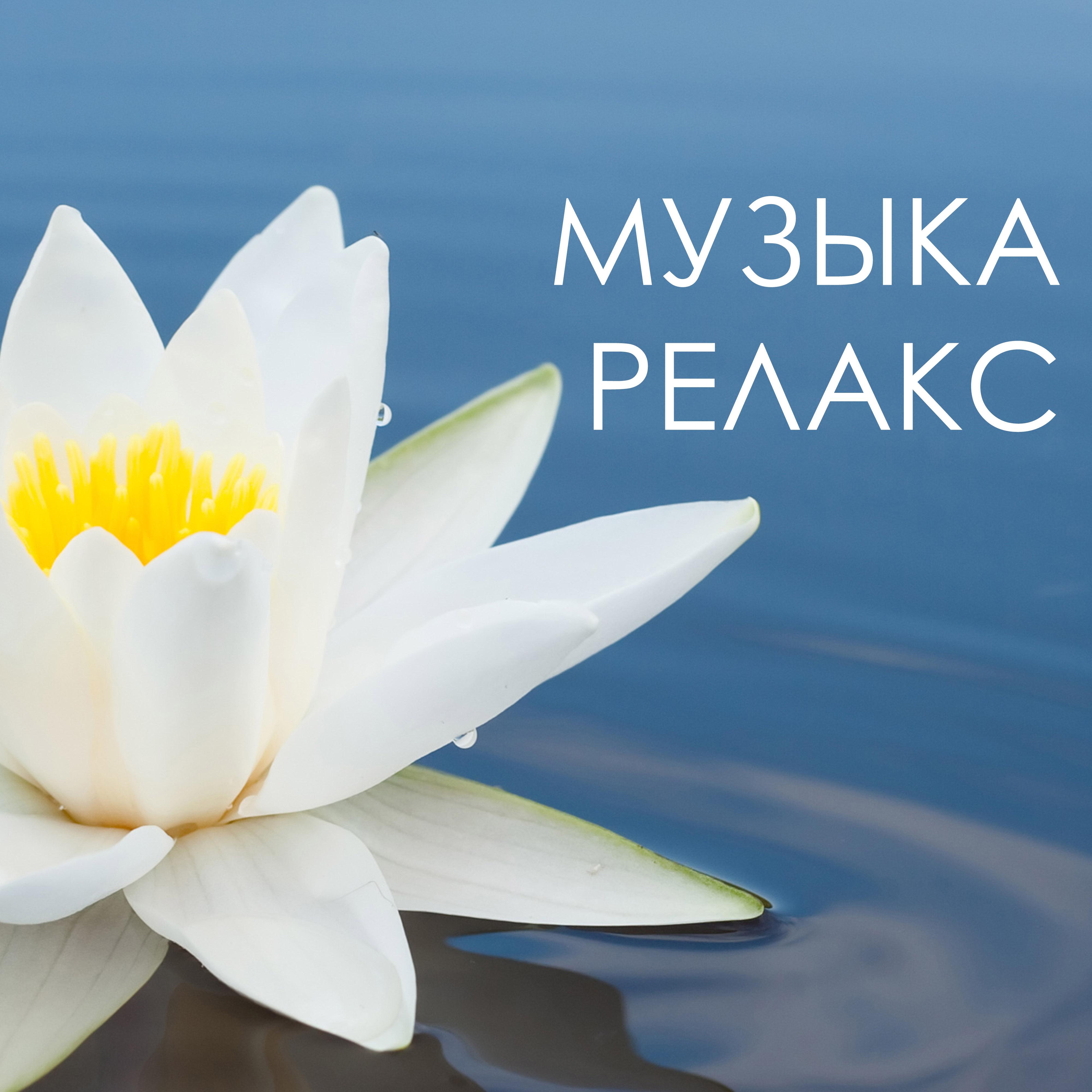 Купить женские брендовые копии-Зажимдляволосmaybach