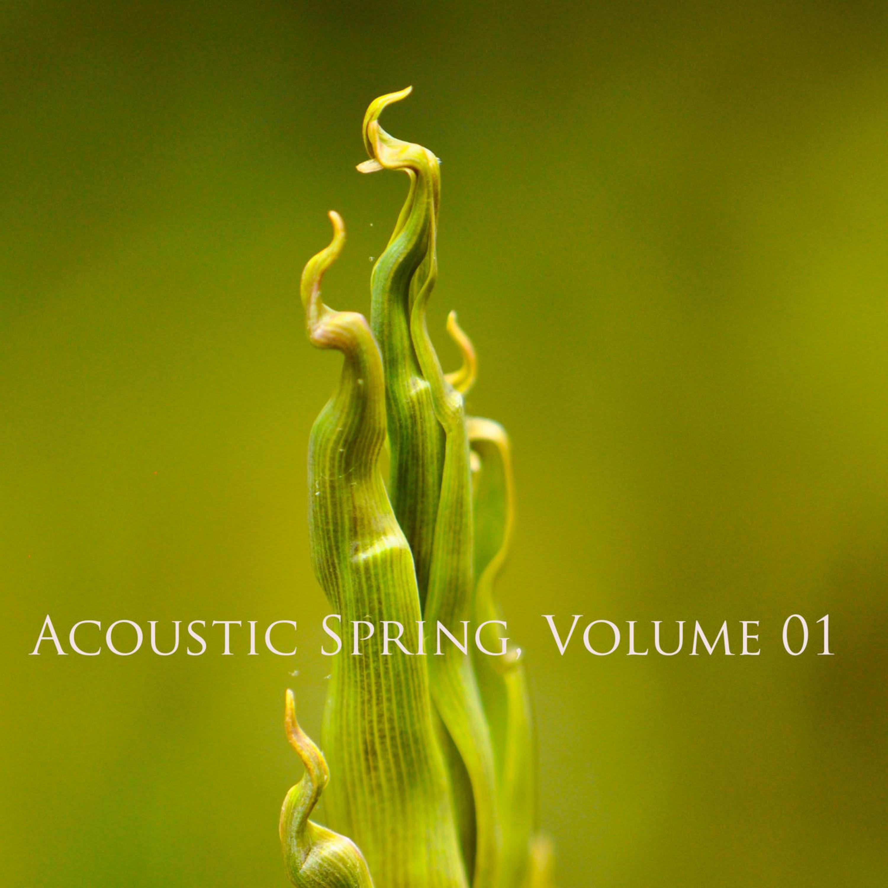 Acoustic Spring Volume 01