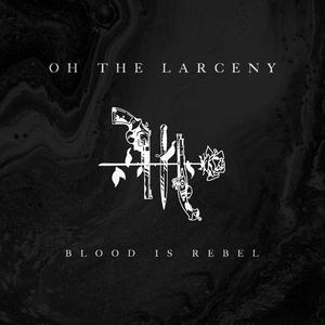 Oh The Larceny - Another Level (Bhavior Remix) (Instrumental) 原版无和声伴奏 （降7半音）