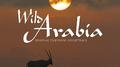Wild Arabia (Original Television Soundtrack)专辑