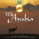 Wild Arabia (Original Television Soundtrack)专辑