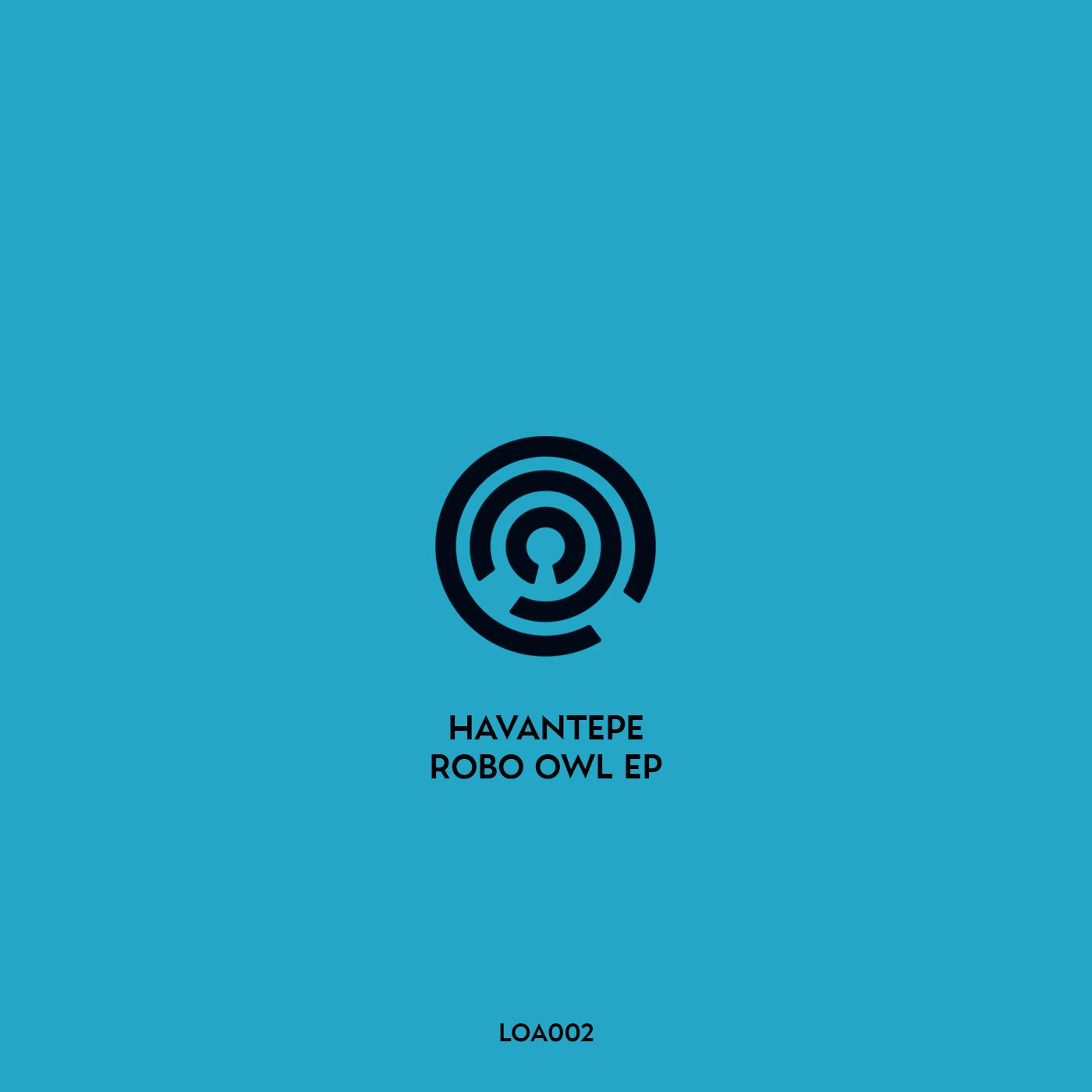 Robo Owl EP