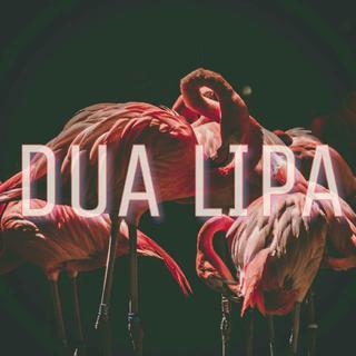 Dua Lipa同名世界巡演2018上海国家会展中心