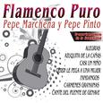 Flamenco Patrimonio De la Humanidad