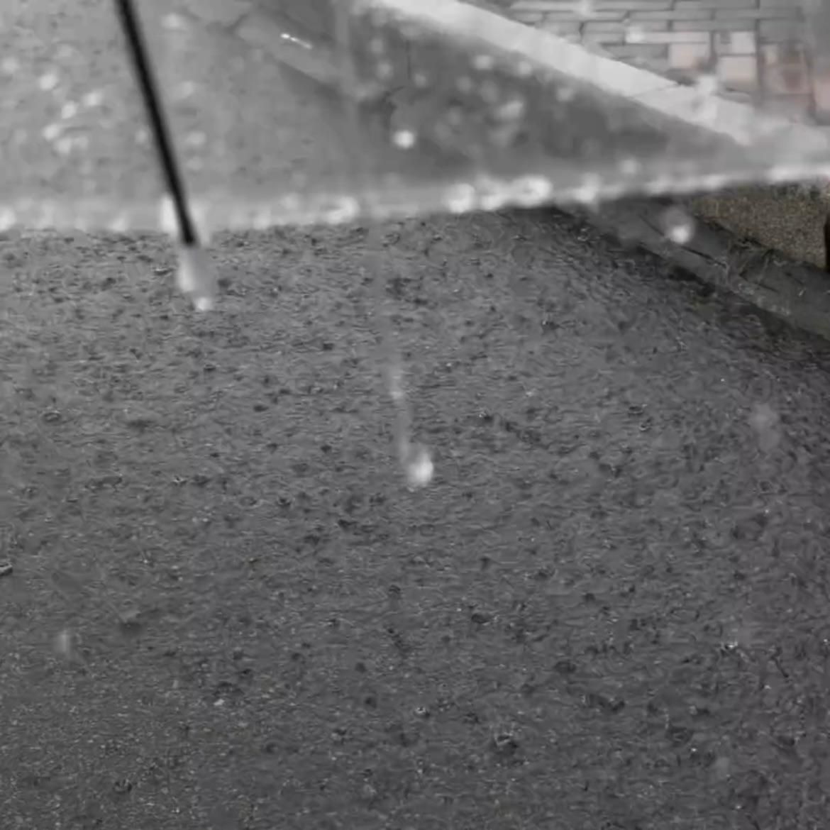 你一言不发 偏偏这雨也越下越大